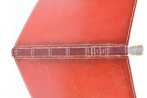 Bild 2: Nach der Restaurierung