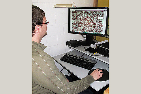 Bild 2: während der digitalen Reproduktion