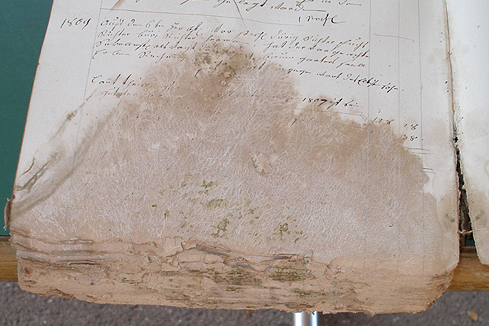 Bild 5: Schriftverlust im Bereich des Schimmelbefalls.