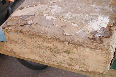 Bild 4: Durch lang anhaltende Feuchtigkeit entstandener extremer Schimmelschaden.