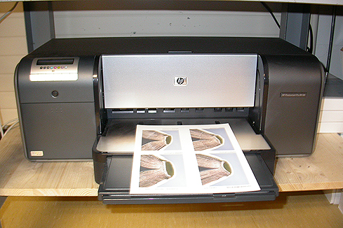 Farbfotos für Dokumentationen