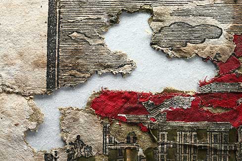 Bild 3: Vorher: Detail mit Frassstelle am linken Bildrand in der Bildmitte.