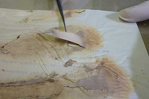 Bild 2: Entfernen der Schimmelmyzele.