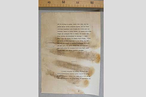 Bild 3: Das fertig restaurierte Blatt.