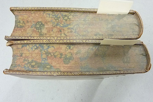 Bild 1:Die rechte Hälfte der Kopfschnitte vor der Reinigung, die linke Hälfte nach der Reinigung.