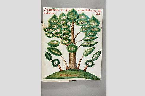 Bild 3: Nach der Restaurierung