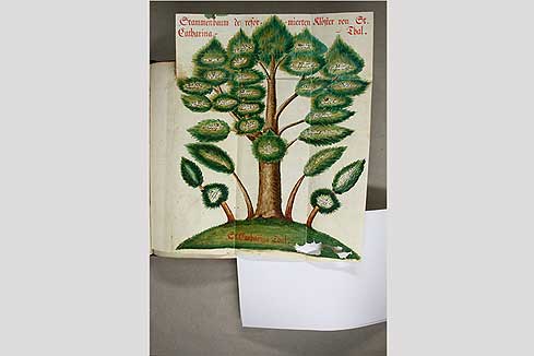 Bild 1: Vor der Restaurierung