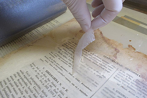 Bild 2: Die Seidenpapiere werden im Enzymbad abgelöst