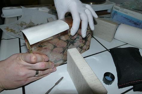 Bild 2: Anlegen Tetrahyydrofuran befeuchteter Löschkarton auf Buchrücken